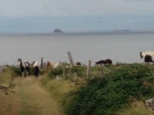 Coming around the bend